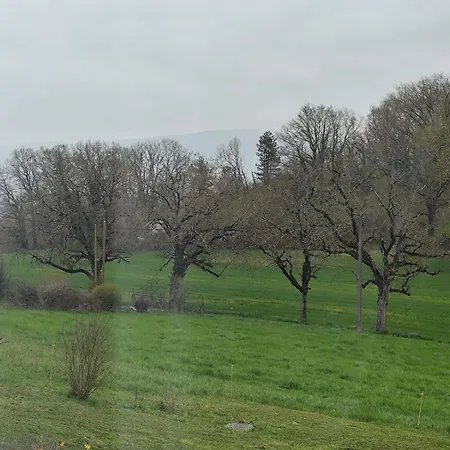 L'azalee - Vu Splendide Sur La Nature * Peyrieu