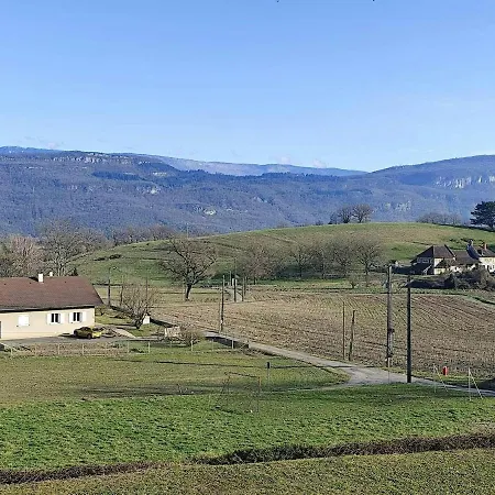 L'azalee - Vu Splendide Sur La Nature * Peyrieu